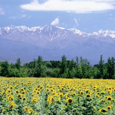 Learn Spanish through current affairs